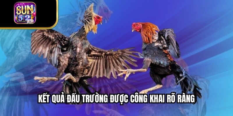 Kết quả đấu trường được công khai rõ ràng